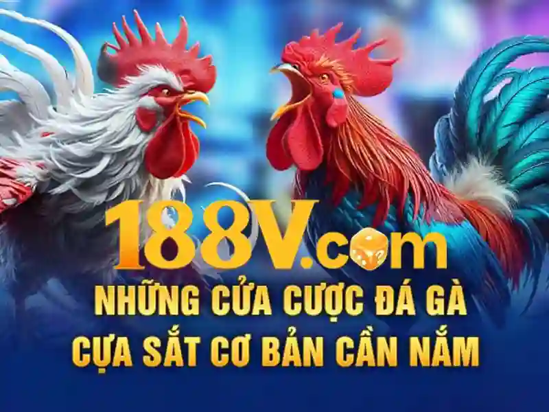 Các Trò Chơi Slot Được Yêu Thích