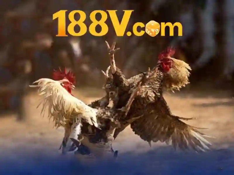 Trải Nghiệm An Toàn Với 188V