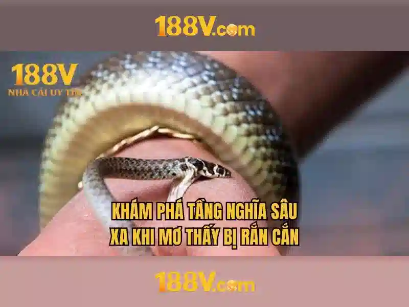 Trải nghiệm cá cược Slot 188v