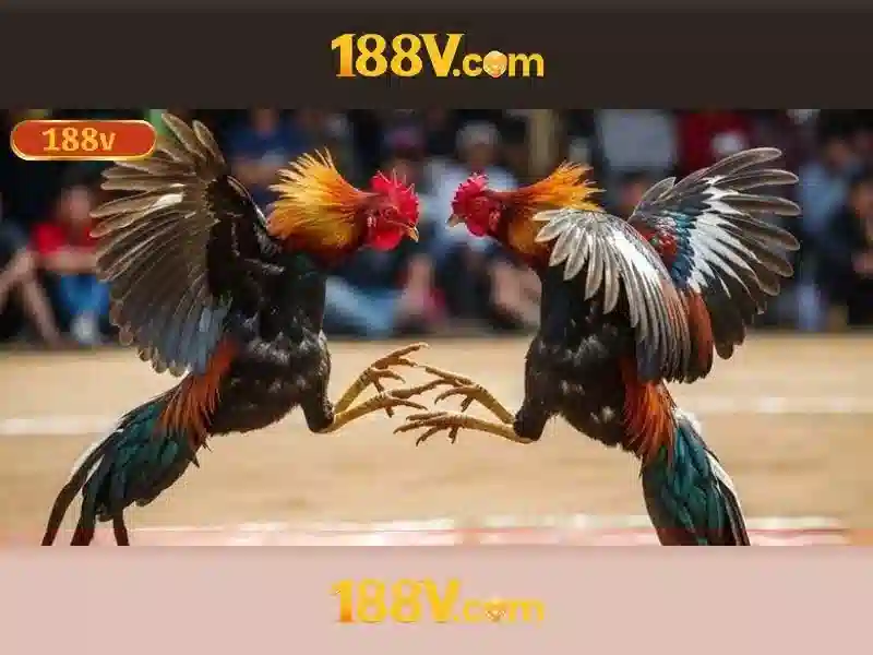 188v – Hướng Dẫn Đăng Ký 188v Nhanh Chóng, An Toàn Cho Người Mới