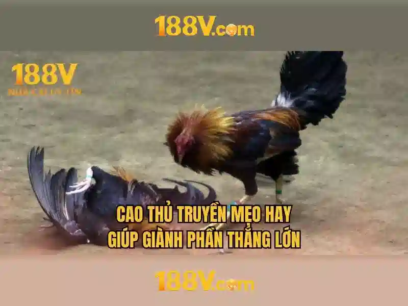 hướng dẫn đăng ký tài khoản 188V