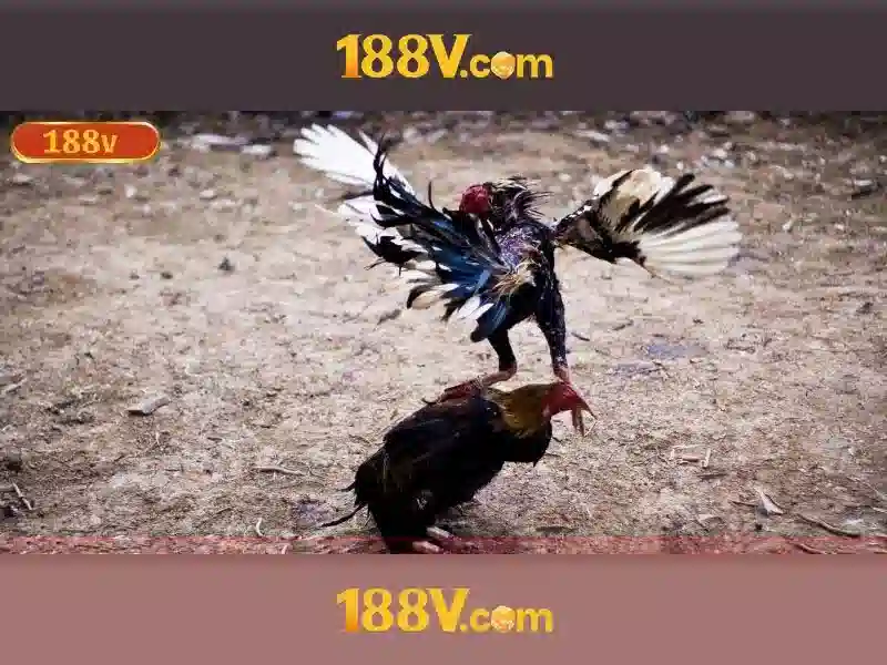đăng nhập 188v