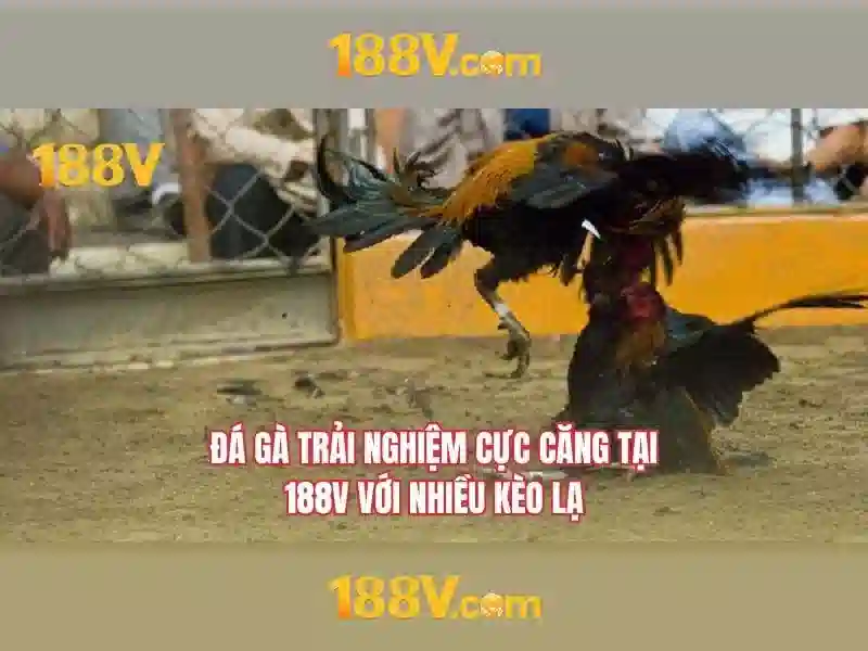 nạp rút nhanh 188V