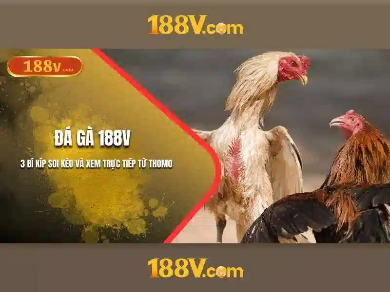 188V – Review Trải Nghiệm Cá Cược Slot 188V Đúng Chuẩn 2026