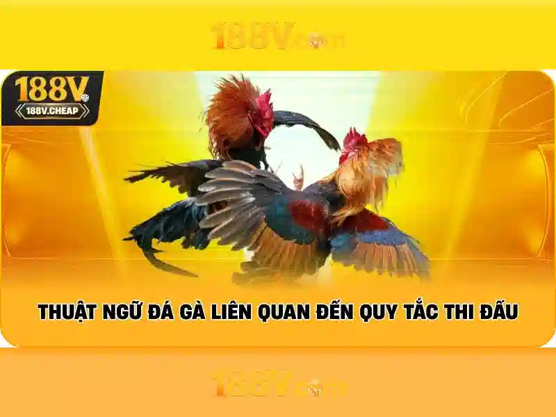 chính sách bảo mật 188V