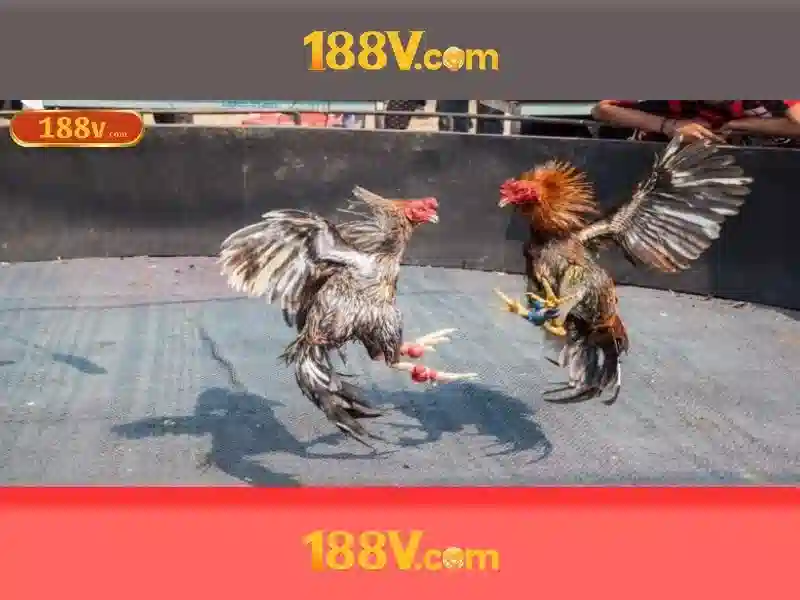 Chương Trình Khuyến Mãi 188V Độc Quyền Cho Người Chơi SLOT