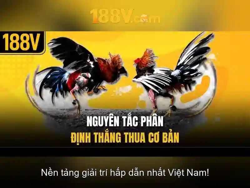 Hướng Dẫn Đăng Ký 188V