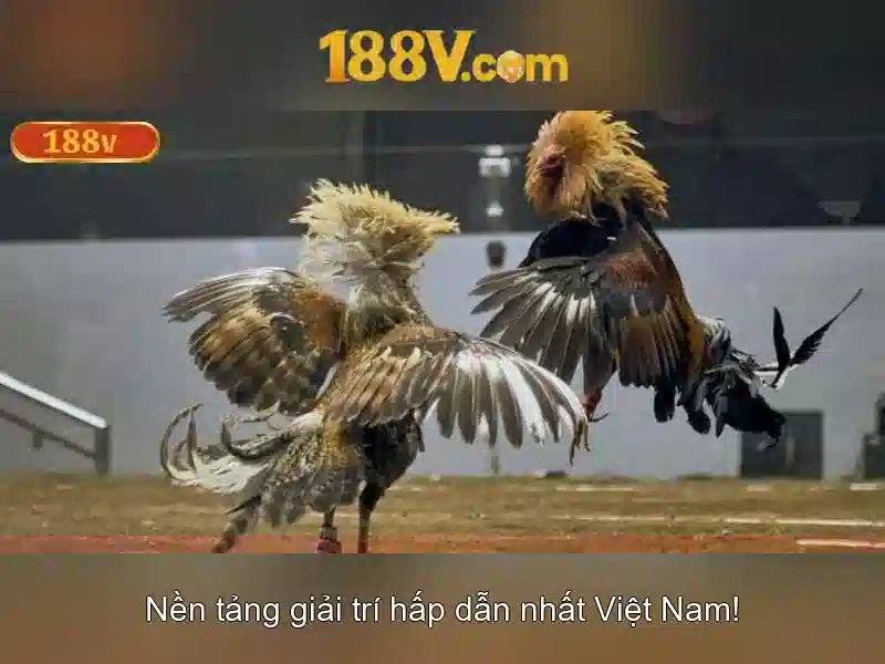 Trải Nghiệm Game Slot 188V