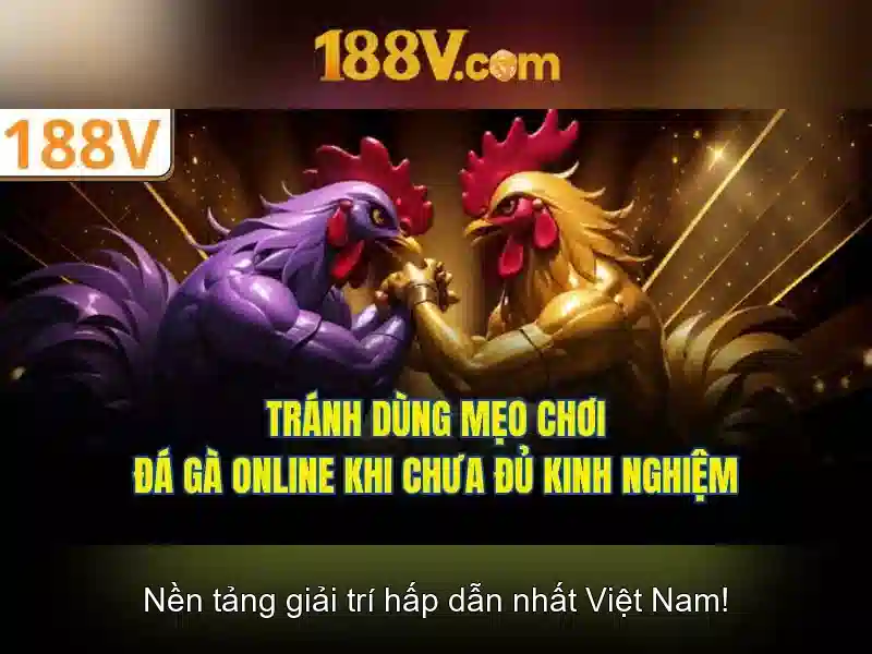 188V – Trang Chủ 188V Chuyên Nghiệp Về Slot Và Casino 2026