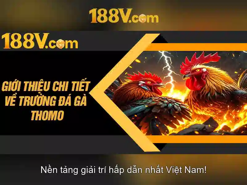 Rút Thưởng 188V