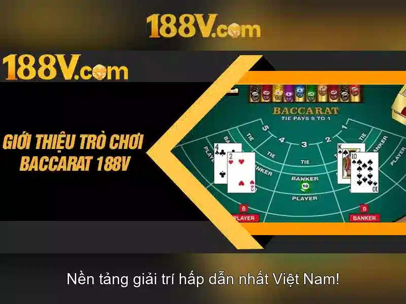 Quyền Lợi Của Người Chơi