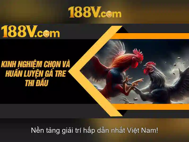 Trải Nghiệm Slot Tại 188v