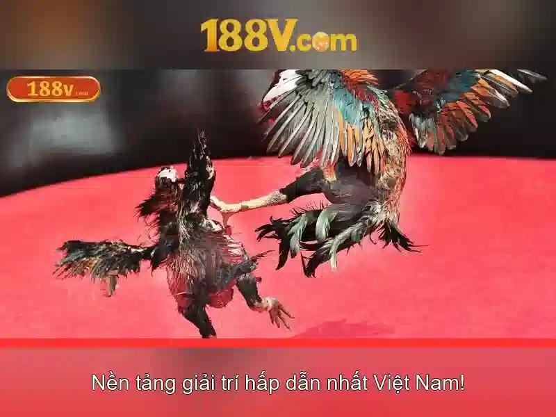 Hướng Dẫn Chơi Slot365