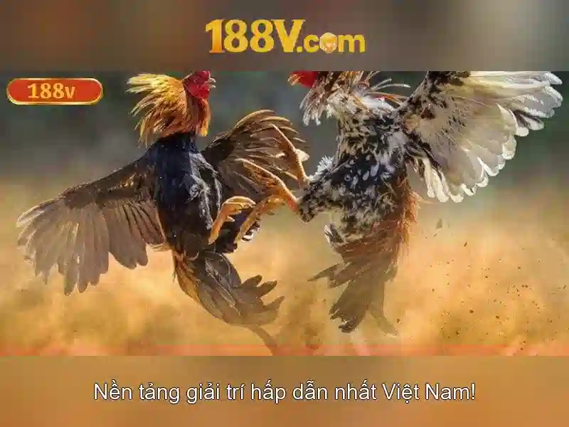 ưu đãi Slot 188V