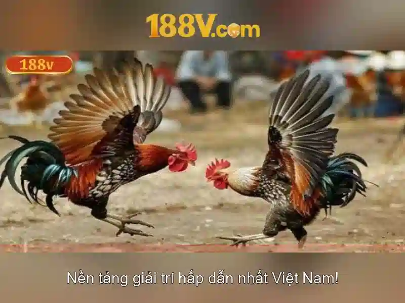 Hướng dẫn truy cập 188V không bị chặn