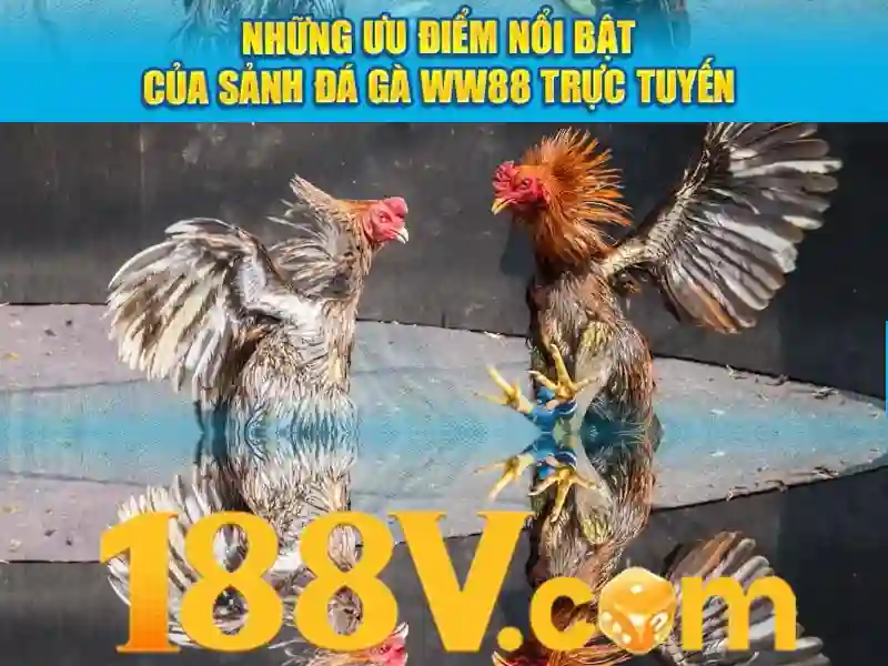 Link dự phòng 188v